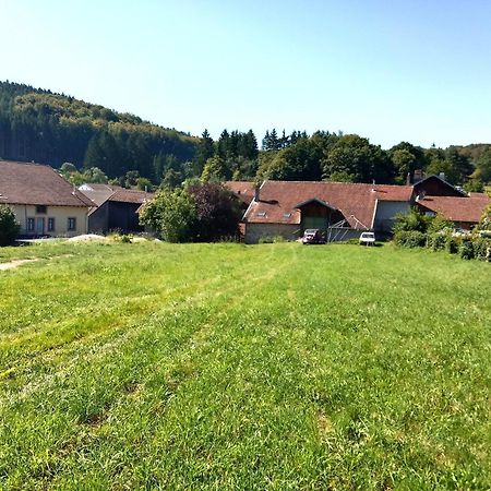 Gite Le Geleinfete II Vosges A Proximite De Gerardmer Herpelmont Exterior foto